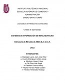 SISTEMAS DE INFORMACIÓN DE MERCADOTECNIA