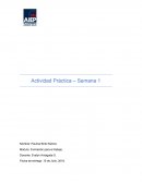 Actividad Práctica – Formación para el trabajo