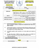 Acta sucinta de audiencia de primera declaracion