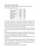 Análisis libros contables Amadeus