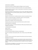 PLANEACION DE LA ENSEÑANZA