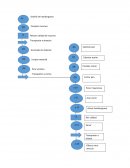Diagrama de flujo hambueguesas