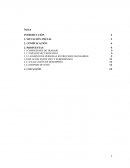 Farmaceutica Prácticas