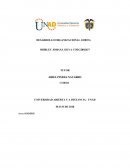 Cuál es el problema principal que identifican para realizar el estudio organizacional.