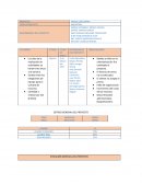 Proyecto de fresas con crema