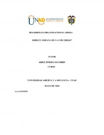 Cuál es el problema principal que identifican para realizar el estudio organizacional.. Página 1