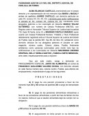 PERDIDA DE PATRIA POTESTAD DIVORCIO