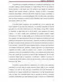 Efectos de la contaminacion difusa sobre el perifiton de arroyos