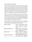 Inteligencias Multiples Gardner