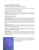 CAPITULO: CONTINUIDAD DE LAS ESPECIES.