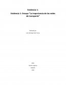 AA2 Evidencia 1 Ensayo La importancia de las redes de transporte