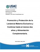 Promoción y Protección de la Lactancia Materna Exclusiva y Continúa hasta al menos dos años y Alimentación Complementaria