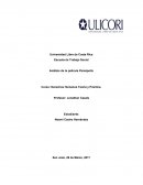 Análisis de la película Persépolis