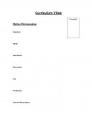 Como crear un curriculum