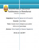 Tema: Causas neurobiológicas que pueden influir en el aprendizaje