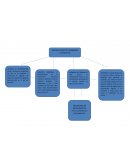 Proceso cognitivo de amarrarse las agujetas