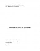 Curso: Organización y Recursos Humanos