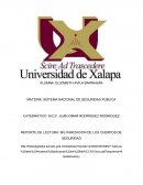 Militarizacion de los cuerpos de seguridad