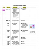 Planeación curso de verano