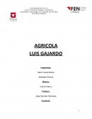 Analisis de control interno