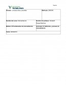 Actividad Definición y proceso de mercadotecnia