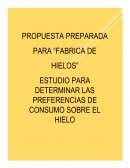 Practica de Hielo (Investigacion de mercados)