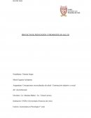 Trabajo practico de atención primaria en salud