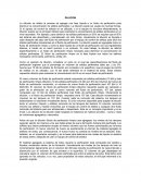 Procesamiento de lodos