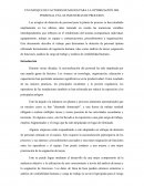 UN ENFOQUE DE FACTORES HUMANOS PARA LA OPTIMIZACIÓN DEL PERSONAL EN LAS INDUSTRIAS DE PROCESOS