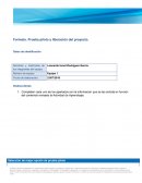 Prueba piloto y liberación del proyecto. dirección de proyectos
