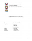 DESTILACION DISCONTINUA EN MULTIETAPAS