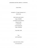 Cultura politica colaborativo DE Cultura Política