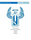 REFLEXIÓN Y APLICACIÓN DE CONCEPTOS 2.