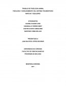 TRABAJO DE FISIOLOGIA ANIMAL FISIOLOGIA Y ENVEJESIMIENTO DEL SISTEMA TEGUMENTARIO