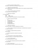 ¿De qué se encarga la psicología evolutiva?