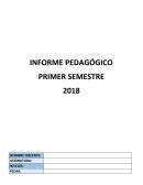 INFORME PEDAGÓGICO SEMESTRAL