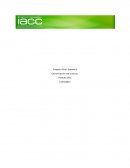 Estudio de mercado en el inicio de un negocio.