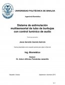 Terapia Multisensorial