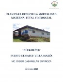PLAN PARA REDUCIR LA MORTALIDAD MATERNA, FETAL Y NEONATAL