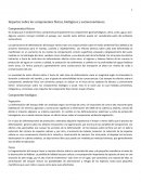 Impactos sobre los componentes físicos, biológicos y socioeconómicos