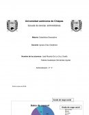 Inestigacion de cammpo de tonala chiapas