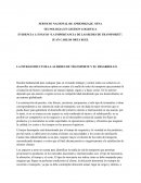 ENSAYO “LA IMPORTANCIA DE LAS REDES DE TRANSPORTE”