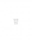 Ecuación Contable. Análisis