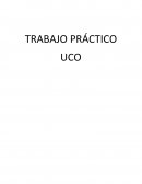 SAQUEO EN LA ARGENTINA