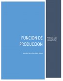 Actividad Función de producción