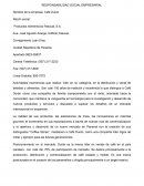 RESPONSABILIDAD SOCIAL EMPRESARIAL.