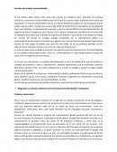 Trabajo sustentabilidad