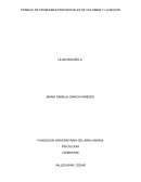 TRABAJO DE PROBLEMAS PSICOSOCIALES DE COLOMBIA Y LA REGION