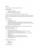 Mercadeo en otros canales. Menos digital y más mercadeo