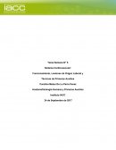 Tarea S5 Anatofisiología humana y primeros auxilios
